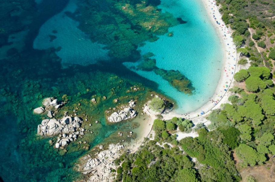 les-plages-corses-plage-de-palombaggia