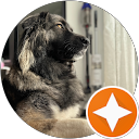 Profilbild von „Nancy“